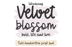 Velvet Blossom Fonts, Cute Font Bundle, Script Handwritten Product Image 1