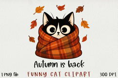 Cute &amp; Funny Cat BUNDLE, PNG. Product Image 2