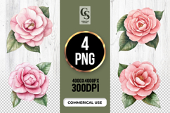 Pink Camellia Flower Clipart PNG Product Image 1