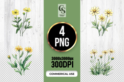 Yellow Wildflower Watercolor Floral Clipart Sublimation PNG Product Image 1