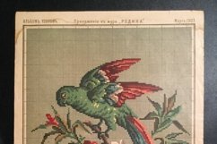 Vintage Cross Stitch Scheme Green parrot 3 Product Image 5