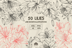 Lilies line art collection Svg Png Eps Product Image 1