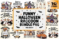 Funny Halloween Raccoon PNG Bundle Product Image 1