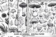 Dark akademia digital paper Product Image 1
