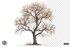 Autumn Trees Clipart Product Image 1