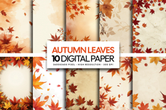 Autumn Leaves Digital Paper Product Image 2