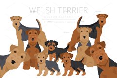 Welsh Terrier clipart Product Image 1