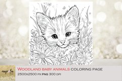 Woodland baby animal, coloring page for kids png Product Image 1