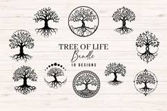 Tree of Life SVG Bundle | 10 Hand Drawn Tree Designs Product Image 1