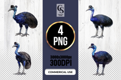 Watercolor Cassowary Bird Clipart Sublimation PNG Product Image 1