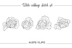 White cabbage sketch set. Product Image 1