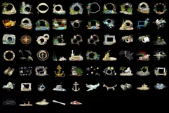 800 SEA FLORA TRANSPARENT PNG FILES, PHOTOSHOP OVERLAYS Product Image 5