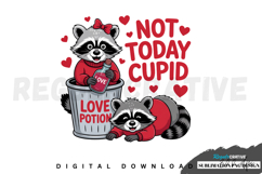 Not Today Cupid, Funny Raccoon Valentines Sublimation PNG Product Image 1
