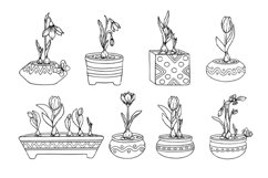 Sketches of spring flowers of tulip, snowdrop, crocus . Product Image 1
