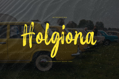 Holgiona Product Image 1