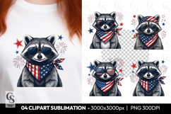 Patriotic Raccoon Clipart PNG Product Image 1