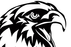 Eagle Svg/Png/Jpg/Ai/Vector birds/Patriotic eagle Product Image 4