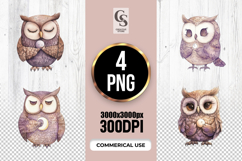 Cute Owl Moon Illustration Clipart Sublimation PNG Product Image 1