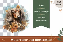 Watercolor Dachshund Dog Illustration, Dog Sublimation PNG Product Image 1