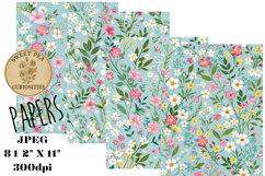 Shabby Chic, Flowers, Papers, Junk Journal Product Image 1