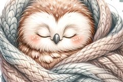 Cute Owl Product Image 2