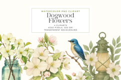 Watercolor Dogwood Flower Cliparts Product Image 1
