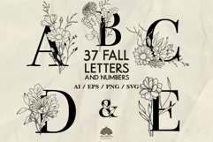 Fall Letters & Numbers SVG PNG EPS Product Image 1