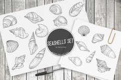 Hand Drawn Seashell SVG Set Product Image 1