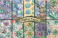 Watercolor Succulent Digital Paper Product Image 1