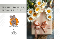 Frame, daisies flowers Product Image 1