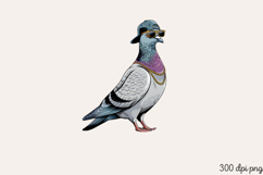 Funny Sarcastic Bird Sublimation PNG Product Image 2