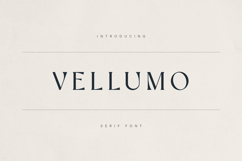 Vellumo Elegant Serif Font Product Image 1
