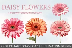Daisy flowers watercolor clipart, Sublimation PNG Product Image 1