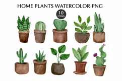 Home flowers in pots Clipart Digaital Clipart hand drawing Product Image 2