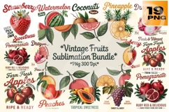 Vintage Fruits PNG Bundle 19 Retro Sublimation Designs Product Image 1