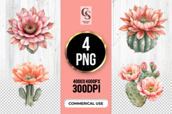 Cactus Flower Blossom Clipart Sublimation PNG Product Image 1