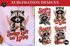 Funny Valentine Raccoon PNG - 4 Designs Product Image 1