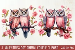 Valentines Day Animal Couple Clipart, Valentine Couple Product Image 1
