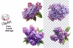 Flowers, Ephemera, Shabby Chic , PNG, Clipart Product Image 1