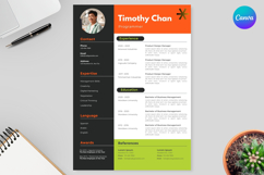 08 Professional Resume CV - Canva Product Image 1