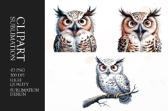 Grumpy owl watercolor clipart sublimation Product Image 1