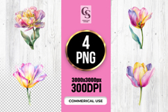 Watercolor Pastel Tulip Flower Clipart Sublimation PNG Product Image 1