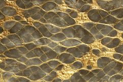 A luxurious snake skin texture Product Image 1