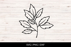 Hand Drawn Autumn Leaf Branch SVG Product Image 1
