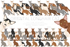 Oriental Longhair cat Product Image 1
