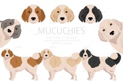 Mucuchies clipart Product Image 1