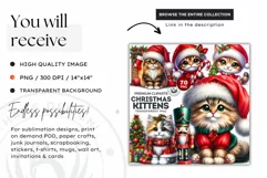 Christmas cat clipart, winter clipart, christmas kitten Product Image 2