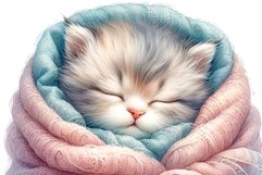 Sleeping Kitten Product Image 1