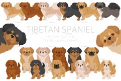 Tibetan Spaniel clipart Product Image 1
