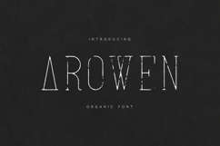 Arowen Organic Serif Font Product Image 1